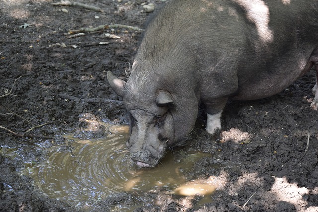 动作中发现 动作中发现