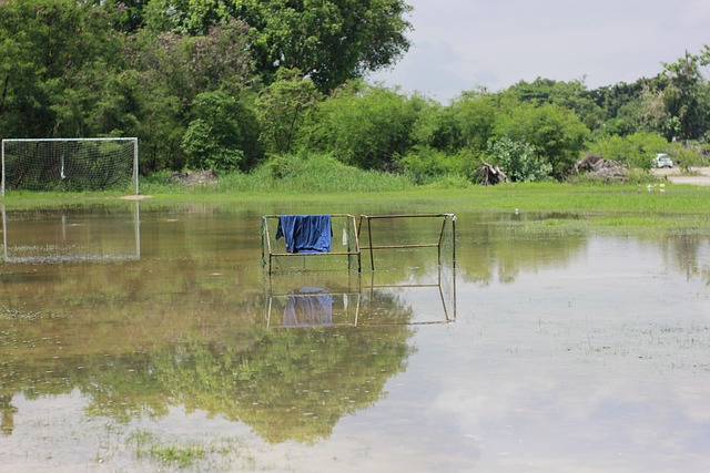 稳健的战术 稳健的战术