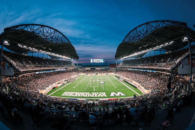 皇家马德里 皇家马德里