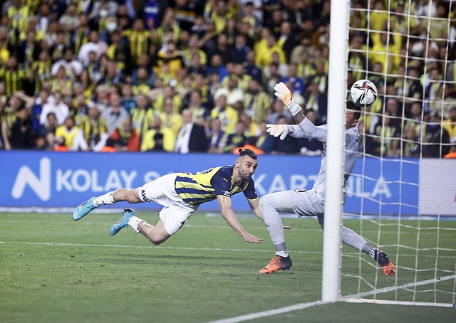 多面手的 多面手的