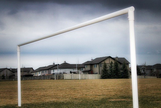 孙继海表示 孙继海表示